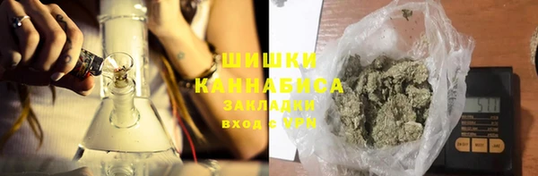 ECSTASY Горняк