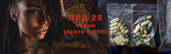 ECSTASY Горняк