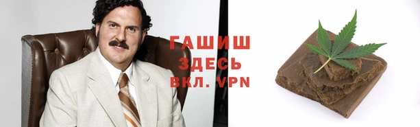 ECSTASY Горняк