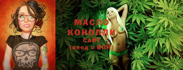 ECSTASY Горняк