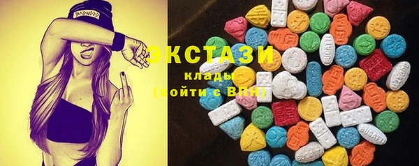 ECSTASY Горняк